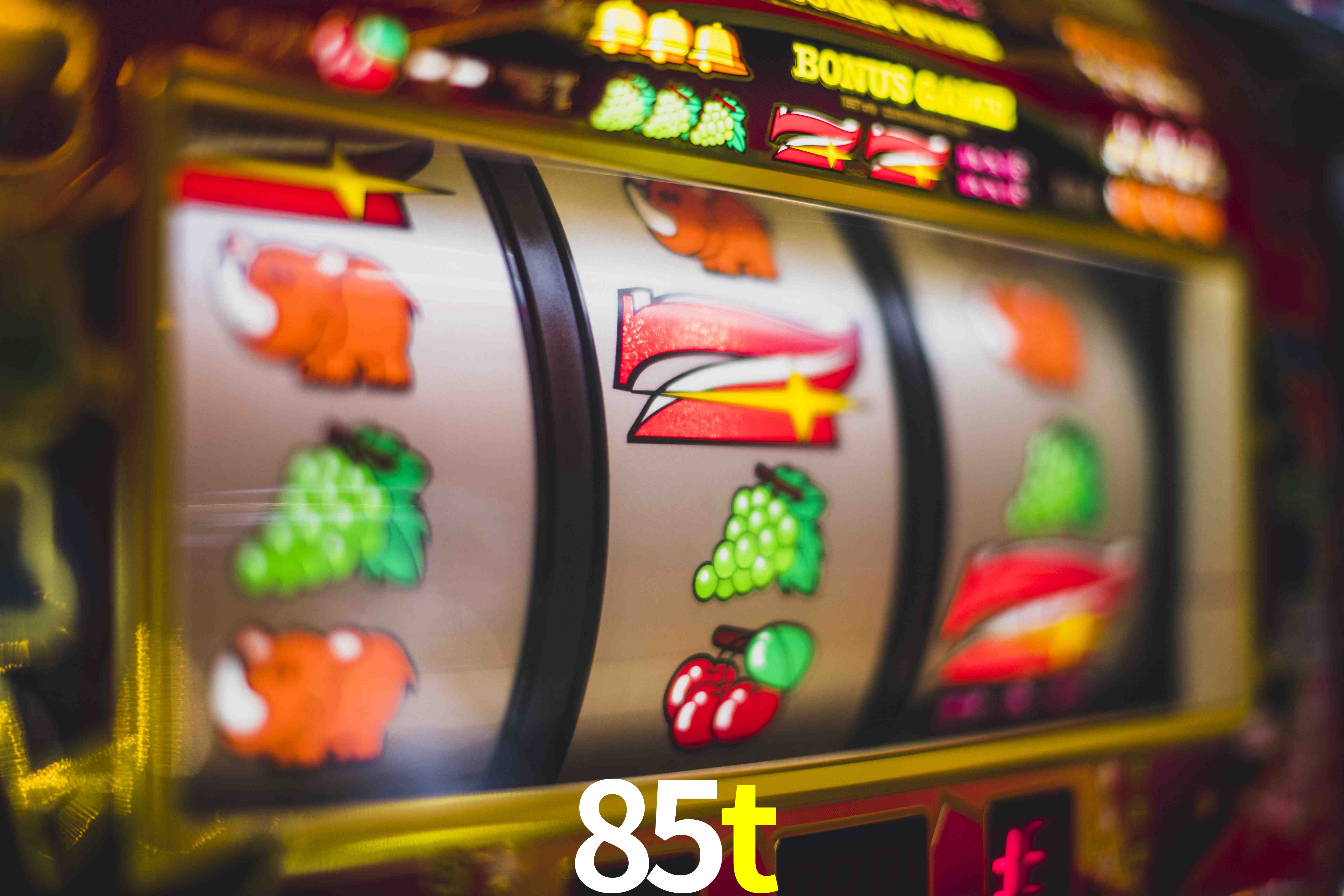 VIP Casino 85t
